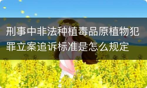 刑事中非法种植毒品原植物犯罪立案追诉标准是怎么规定