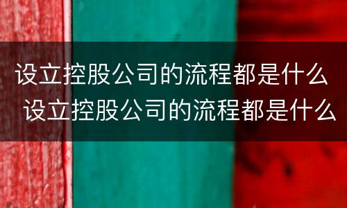 设立控股公司的流程都是什么 设立控股公司的流程都是什么样的
