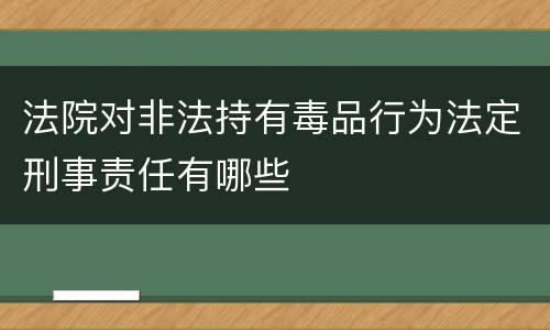 法院对非法持有毒品行为法定刑事责任有哪些