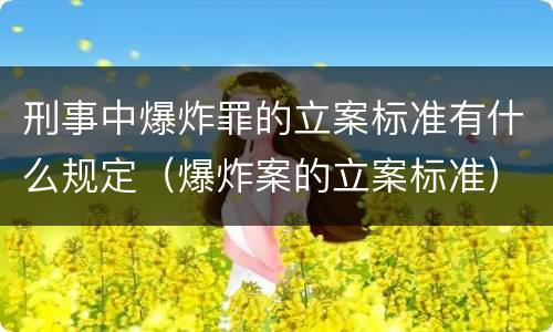 刑事中爆炸罪的立案标准有什么规定（爆炸案的立案标准）