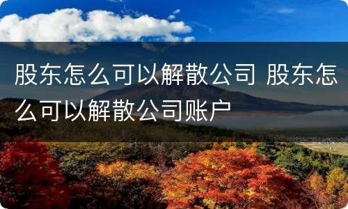 股东怎么可以解散公司 股东怎么可以解散公司账户