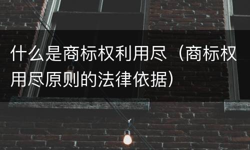 什么是商标权利用尽（商标权用尽原则的法律依据）
