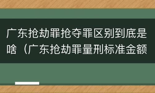 广东抢劫罪抢夺罪区别到底是啥（广东抢劫罪量刑标准金额）