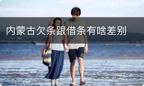 内蒙古欠条跟借条有啥差别