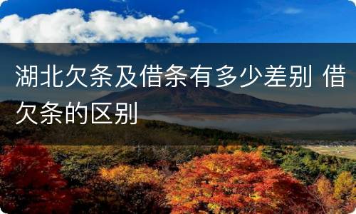 湖北欠条及借条有多少差别 借欠条的区别