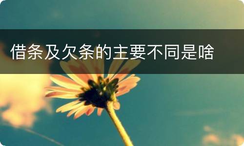 借条及欠条的主要不同是啥