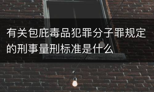有关包庇毒品犯罪分子罪规定的刑事量刑标准是什么