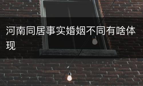 河南同居事实婚姻不同有啥体现