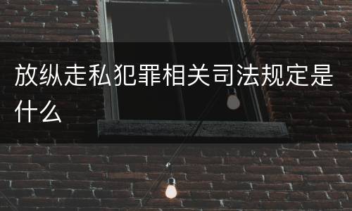 放纵走私犯罪相关司法规定是什么
