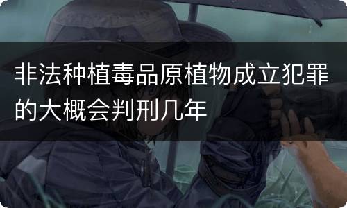 非法种植毒品原植物成立犯罪的大概会判刑几年