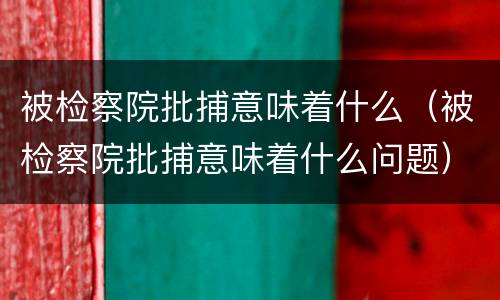 被检察院批捕意味着什么（被检察院批捕意味着什么问题）
