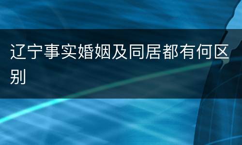 辽宁事实婚姻及同居都有何区别