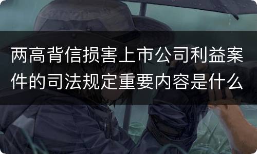 两高背信损害上市公司利益案件的司法规定重要内容是什么