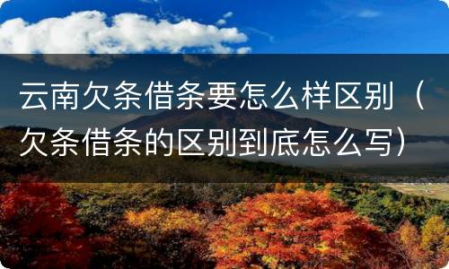 云南欠条借条要怎么样区别（欠条借条的区别到底怎么写）