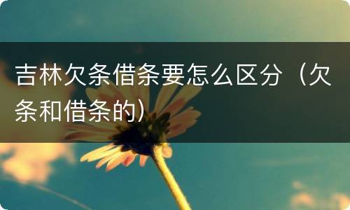 吉林欠条借条要怎么区分（欠条和借条的）