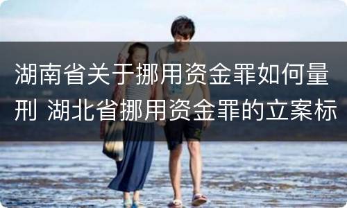 湖南省关于挪用资金罪如何量刑 湖北省挪用资金罪的立案标准