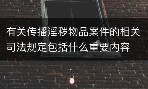有关传播淫秽物品案件的相关司法规定包括什么重要内容
