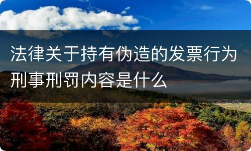 法律关于持有伪造的发票行为刑事刑罚内容是什么