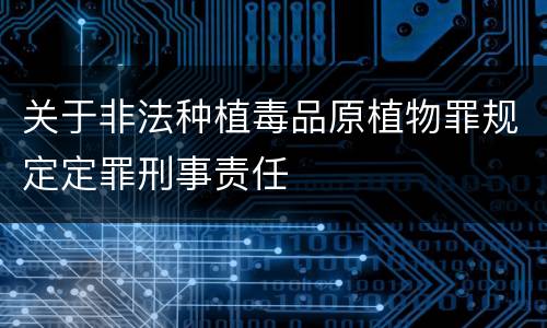 关于非法种植毒品原植物罪规定定罪刑事责任