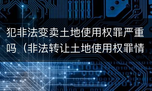 犯非法变卖土地使用权罪严重吗（非法转让土地使用权罪情节特别严重）