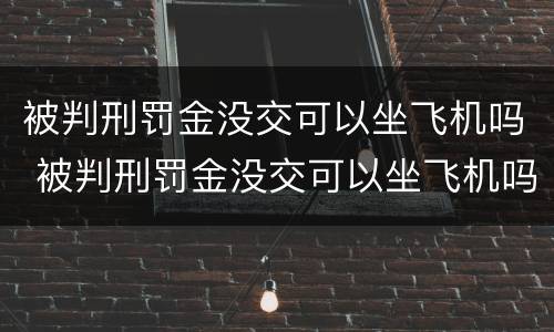 被判刑罚金没交可以坐飞机吗 被判刑罚金没交可以坐飞机吗