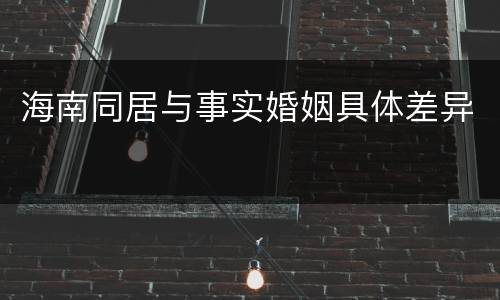 海南同居与事实婚姻具体差异