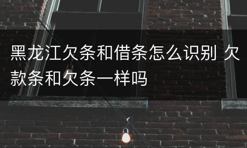 黑龙江欠条和借条怎么识别 欠款条和欠条一样吗