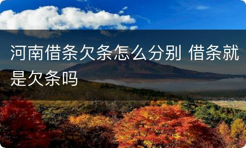 河南借条欠条怎么分别 借条就是欠条吗