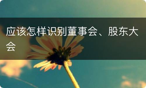 应该怎样识别董事会、股东大会