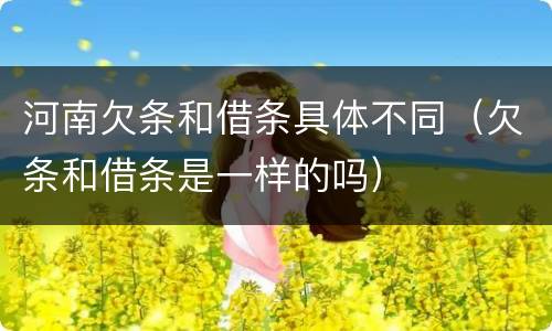 河南欠条和借条具体不同（欠条和借条是一样的吗）