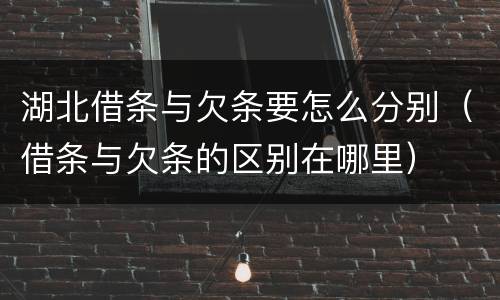 湖北借条与欠条要怎么分别（借条与欠条的区别在哪里）