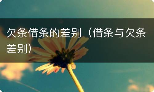 欠条借条的差别（借条与欠条差别）