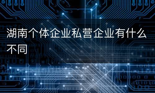 湖南个体企业私营企业有什么不同