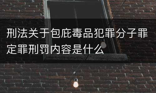 刑法关于包庇毒品犯罪分子罪定罪刑罚内容是什么