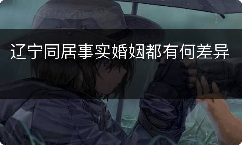 辽宁同居事实婚姻都有何差异