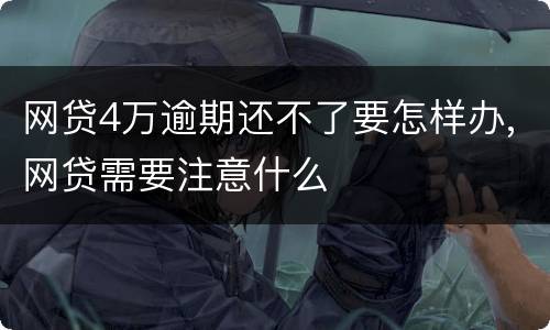 网贷4万逾期还不了要怎样办,网贷需要注意什么