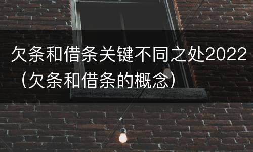 欠条和借条关键不同之处2022（欠条和借条的概念）