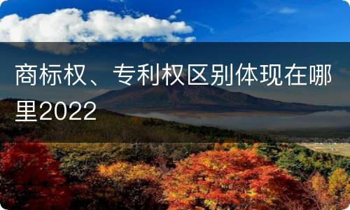 商标权、专利权区别体现在哪里2022