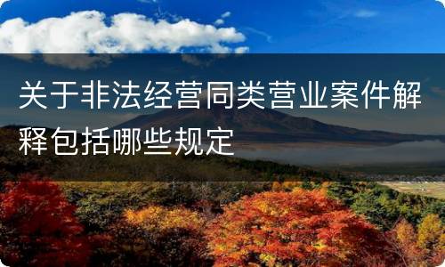 关于非法经营同类营业案件解释包括哪些规定