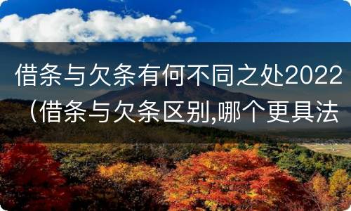 借条与欠条有何不同之处2022（借条与欠条区别,哪个更具法律）