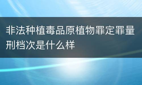 非法种植毒品原植物罪定罪量刑档次是什么样