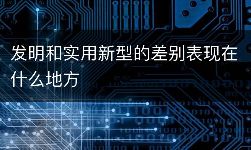 发明和实用新型的差别表现在什么地方