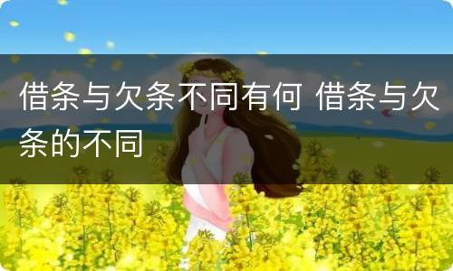 借条与欠条不同有何 借条与欠条的不同