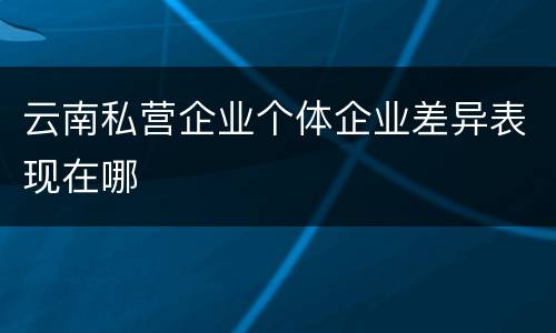 云南私营企业个体企业差异表现在哪