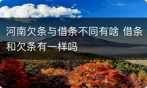 河南欠条与借条不同有啥 借条和欠条有一样吗