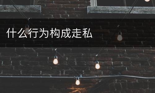 什么行为构成走私