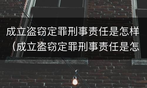 成立盗窃定罪刑事责任是怎样（成立盗窃定罪刑事责任是怎样定的）