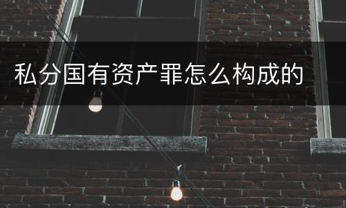 私分国有资产罪怎么构成的