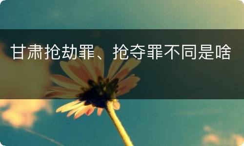 甘肃抢劫罪、抢夺罪不同是啥