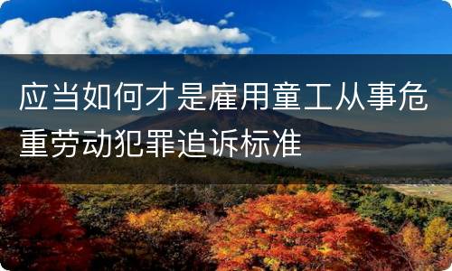 应当如何才是雇用童工从事危重劳动犯罪追诉标准